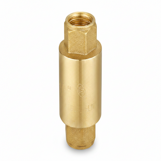 1" Core Check Valve 1'