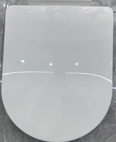 Soft-Close Toilet Seat Cover (Slow Down)