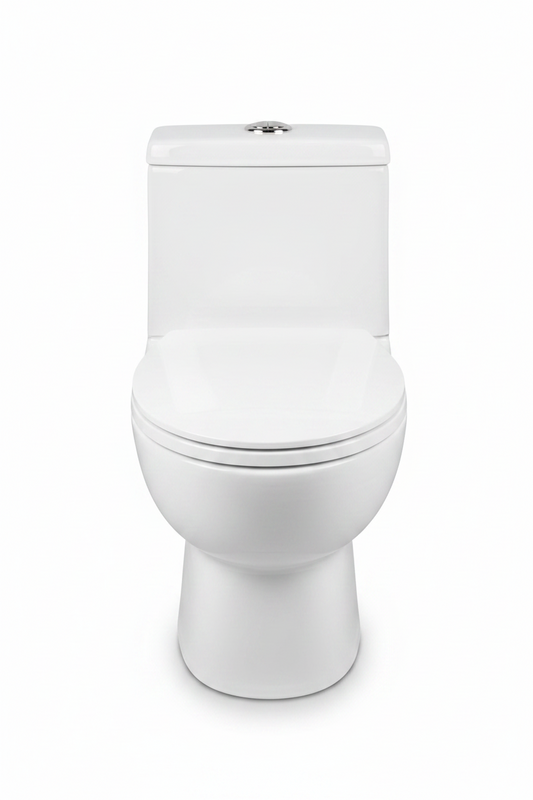 Western Toilet