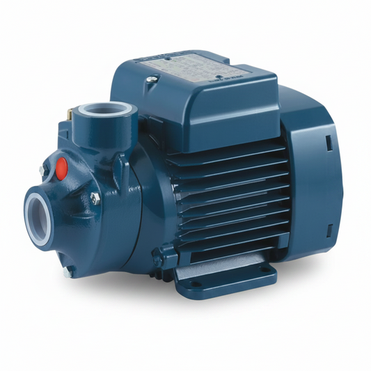 Pedrollo Booster Water Pump