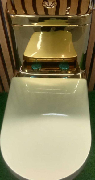 Gold Toilet With Wooden Frame